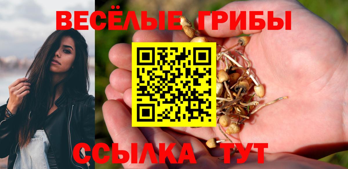 Сафоново  Галлюциногенные грибы Psilocybine cubensis  Вход с VPN 