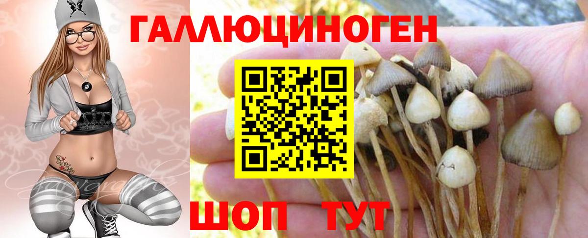Псилоцибиновые грибы прущие грибы Сафоново